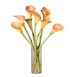 24 Inch Natural Touch Peach Calla Lilies In Glass Vase