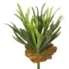 13 Inch Staghorn Fern Bush Spray
