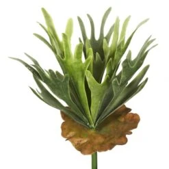 13 Inch Staghorn Fern Bush Spray