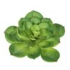 7 Inch Single Cactus Succulent Stem (Set Of 3)