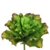 9 Inch Big Romaine Stem (Set Of 3)