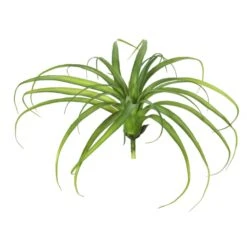 14 Inch Grass Stem (Set Of 3)