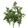 20 Inch English Ivy Bush