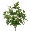 20 Inch Maple Ivy Bush