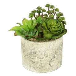 8 Inch Succulent Arrangement In Cream Planter