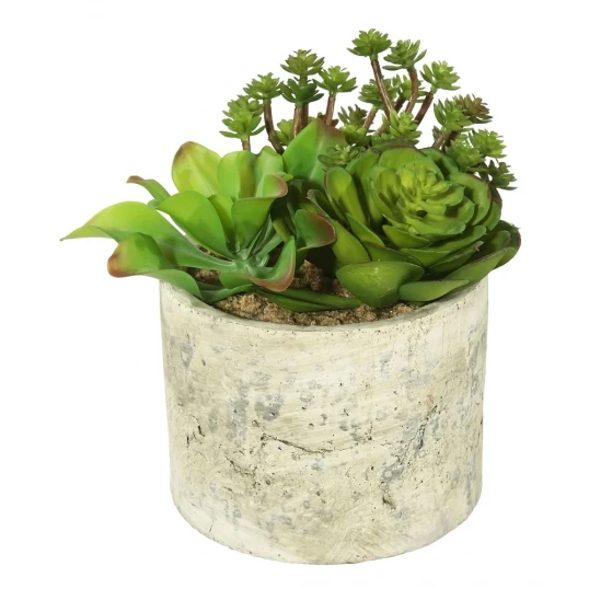 8 Inch Succulent Arrangement In Cream Planter 1 8 Inch Succulent Arrangement In Cream Planter