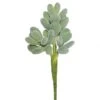 7 Inch Crassula Succulent (Set Of 3)