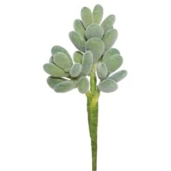 7 Inch Crassula Succulent (Set Of 3)