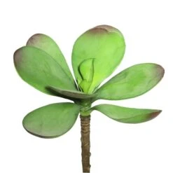 6.5 Inch Kalanchoe Pick Succulent (Set Of 3)