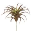 6.5 Inch Maroon Tillandsia Pick (Set Of 3)