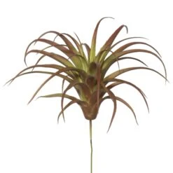 6.5 Inch Maroon Tillandsia Pick (Set Of 3)