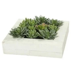 Succulent Arrangement In 12 X12 Inch White Planter