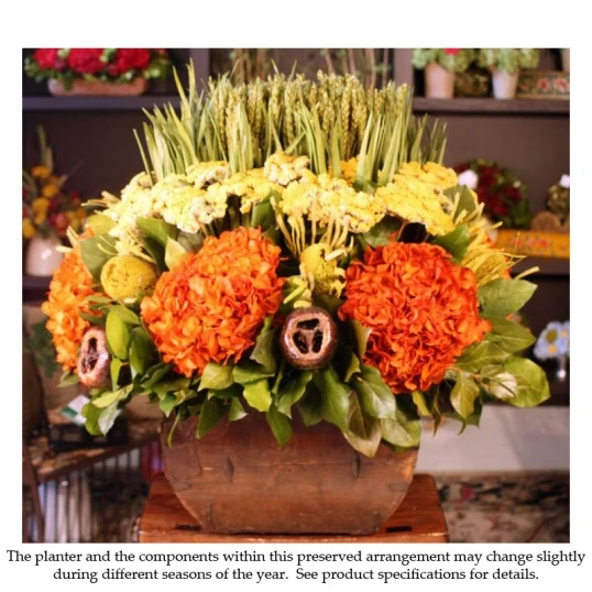 Preserved Autumnal Colored Floral Arrangement 1 Preserved Autumnal Colored Floral Arrangement