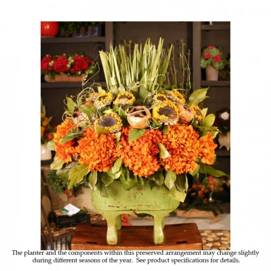 Tall Preserved Floral Arrangement 1 Tall Preserved Floral Arrangement