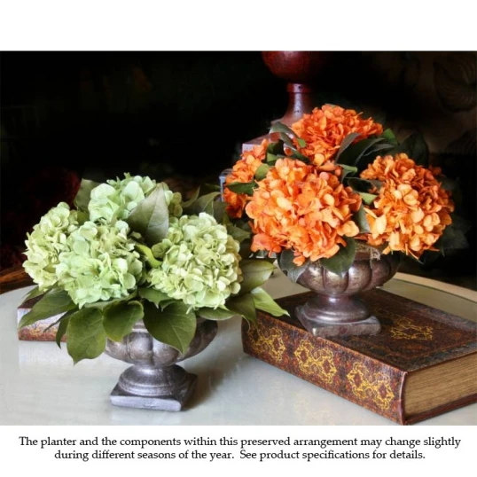 Preserved Hydrangeas In A Decorative Container 1 Preserved Hydrangeas In A Decorative Container