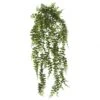 30 Inch Buckler Fern Hanging Vine