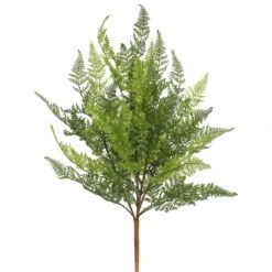 21.5 Inch Lace Fern Sprays