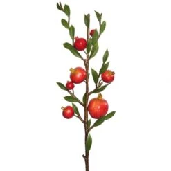 25 Inch Red Pomegranate Branch
