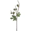 29 Inch Green Fig Branch (Set Of 3)