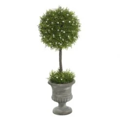 21 Inch Oregon Juniper Ball Topiary In Decorative Planter