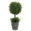 13 Inch Boxwood Ball Topiary In Decorative Planter