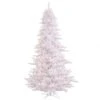 5.5 Foot Slim White Fir Tree: Clear LEDs