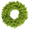 30 Inch Flocked Lime Fir Wreath: Lime LEDs