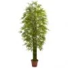 7 Foot Outdoor Bamboo Tree: Limited UV Protection