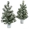 18 Inch Snowy Pine Tree With Tin (Set Of 2)