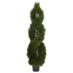 5 Foot Pond Cypress Spiral Topiary: UV Protected