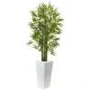 5 Foot Bamboo Tree In White Planter: Limited UV Protection