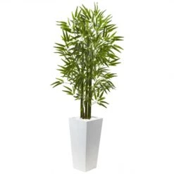 5 Foot Bamboo Tree In White Planter: Limited UV Protection