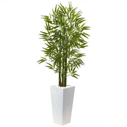 5 Foot Bamboo Tree In White Planter: Limited UV Protection 1 5 Foot Bamboo Tree In White Planter: Limited UV Protection