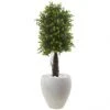 40 Inch Ixora Topiary In White Planter: UV Protected