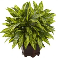 19.5 Inch Variegated Tradescantia In Wooden Hexagon Planter