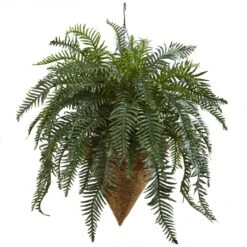 33 Inch Giant River Fern In Cone Hanging Basket