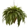26 Inch Giant Boston Fern In Cone Hanging Basket