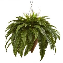 26 Inch Giant Boston Fern In Cone Hanging Basket