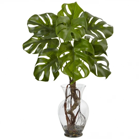 26 Inch Monstera Plant In Vase 1 26 Inch Monstera Plant In Vase