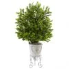 28 Inch Boxwood Bush In Metal Planter: Limited UV, Covered Areas Only