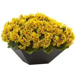 15 Inch Yellow Geranium In Black Planter: Limited UV Protection