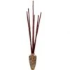 Bamboo Poles (Set Of 12)