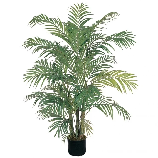 4 Foot Areca Palm Tree: Potted 1 4 Foot Areca Palm Tree: Potted