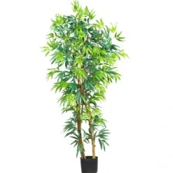 5 Foot Fancy Style Bamboo Tree: Potted