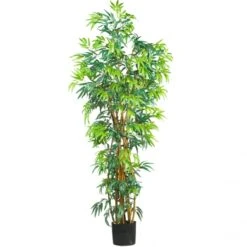 6 Foot Fancy Style Bamboo Tree: Potted