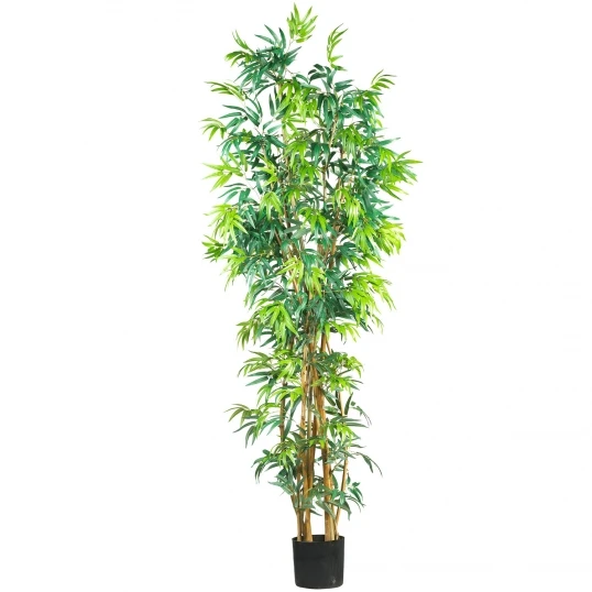 7 Foot Fancy Style Bamboo Tree: Potted 1 7 Foot Fancy Style Bamboo Tree: Potted
