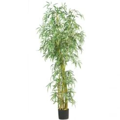7 Foot Fancy Style Slim Bamboo Tree: Potted