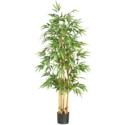 64 Inch Bamboo Tree: Potted