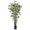 6.5 Foot Black Bamboo Tree: Potted