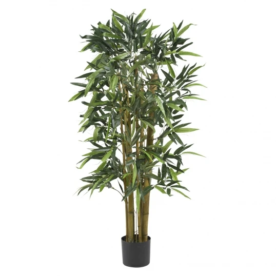4 Foot Biggy Bamboo Tree: Potted 1 4 Foot Biggy Bamboo Tree: Potted